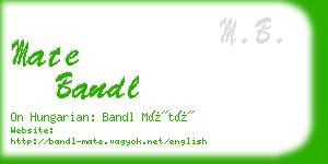 mate bandl business card